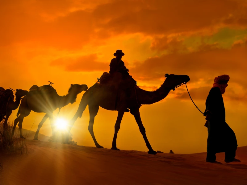 Overview of the Morocco Travel Guide